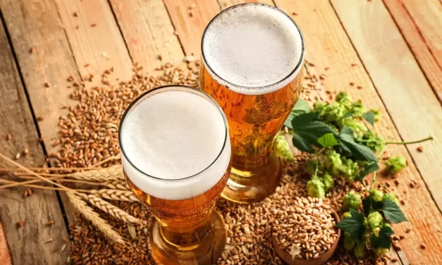 Modelo y Millfoods invierten 300 mdd en procesadora para cerveza