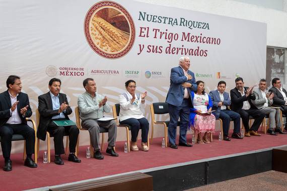 Trigo, el segundo cereal más consumido en México