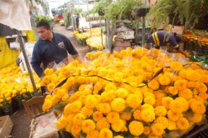 Flor de Cempasúchil