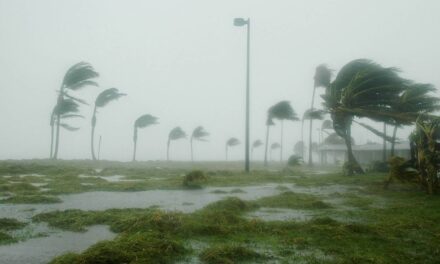 Por huracán Otis, aseguradoras atienden daños por 11, 424 mdp