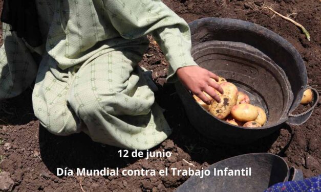 México mantiene elevadas tasas de trabajo infantil