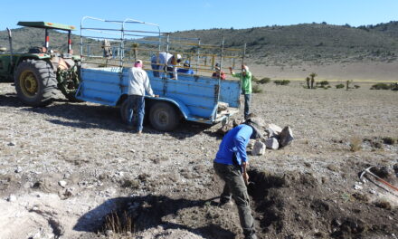 Coca-Cola invertirá 5 mdp en proyectos de infiltración de agua