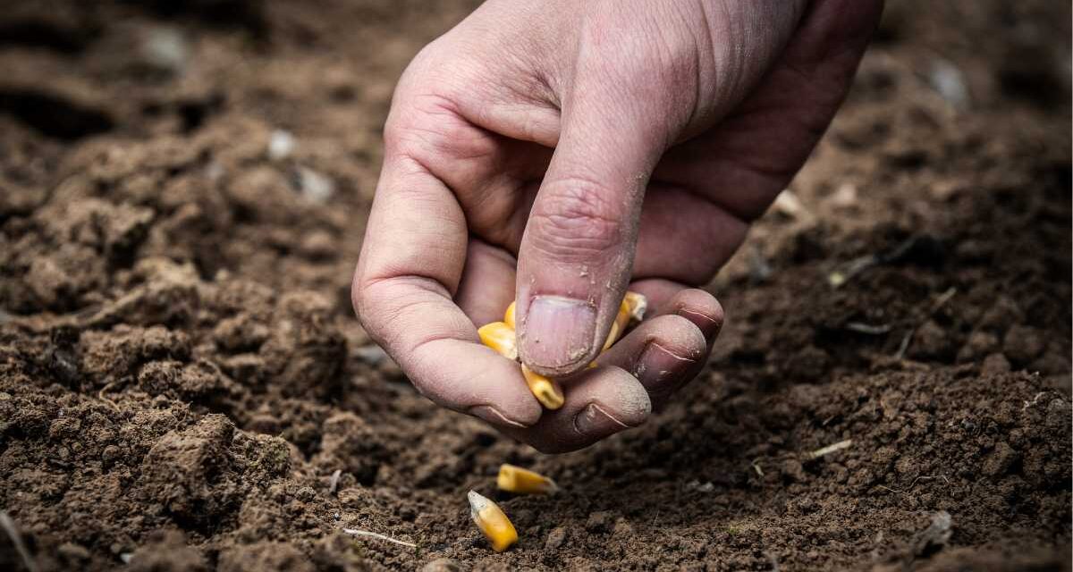 Estos son los nuevos ejes de los programas para Agricultura