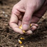 Estos son los nuevos ejes de los programas para Agricultura