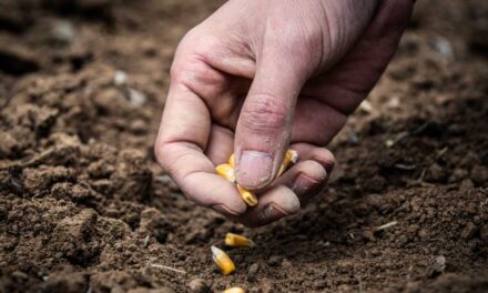 Estos son los nuevos ejes de los programas para Agricultura