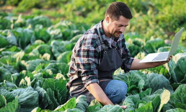 Banco Sabadell apuesta por financiamiento al campo mexicano