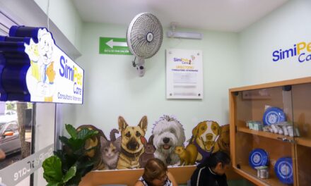 Ya podrás atender a tu michi y tu lomito con el Dr Simi