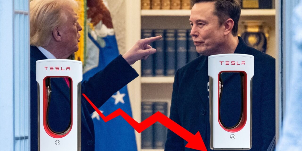 Valores de Tesla, los que más se hunden en la nueva era Trump