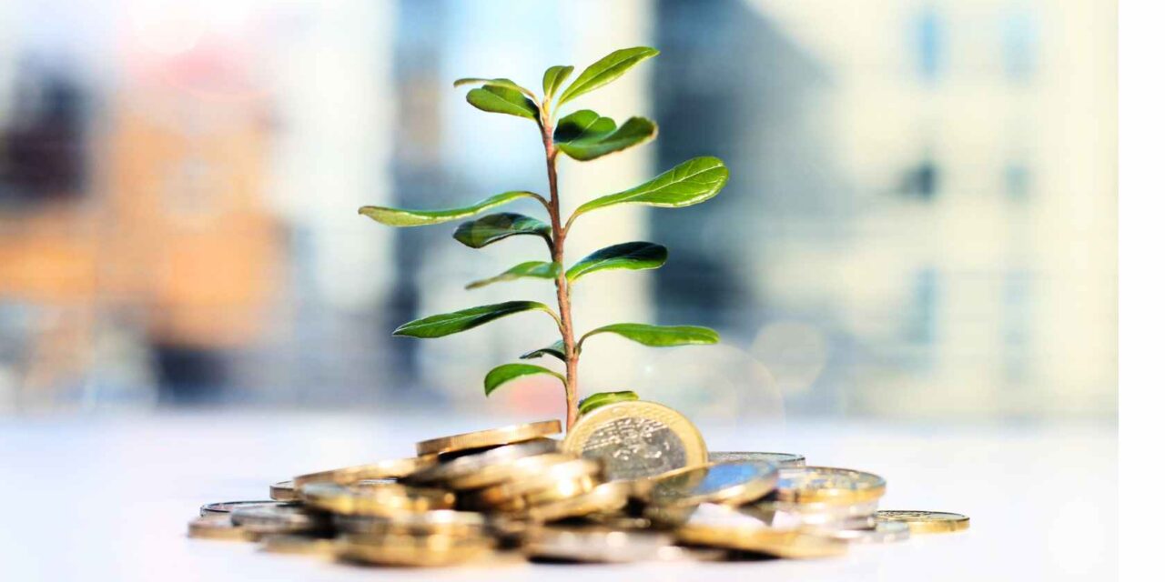 Pierde el miedo a invertir de la mano de un asesor, con BBVA Invest