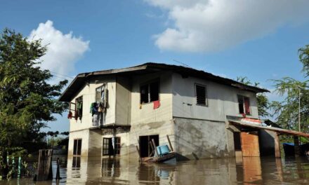 83% de las viviendas en la CDMX no cuentan con ningún tipo de seguro, ni por lluvias