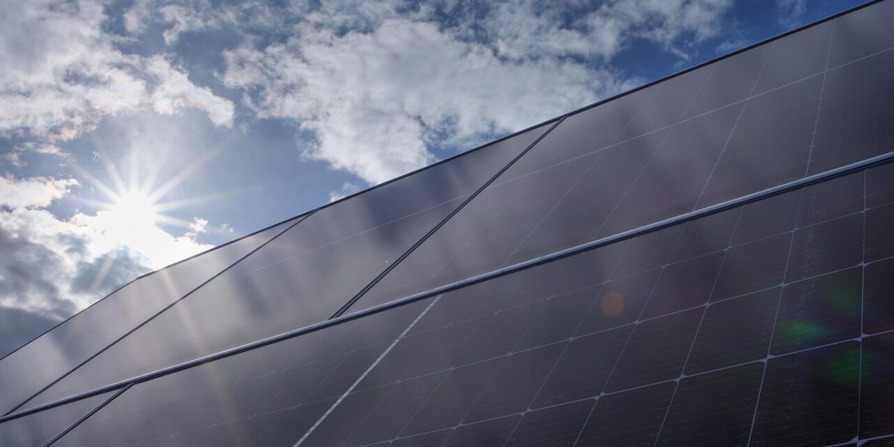 Daimler invierte 120 mdp en la construcción de una granja solar