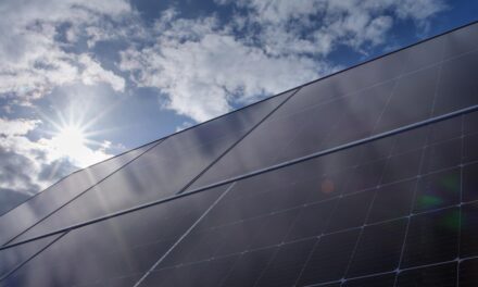 Daimler invierte 120 mdp en la construcción de una granja solar