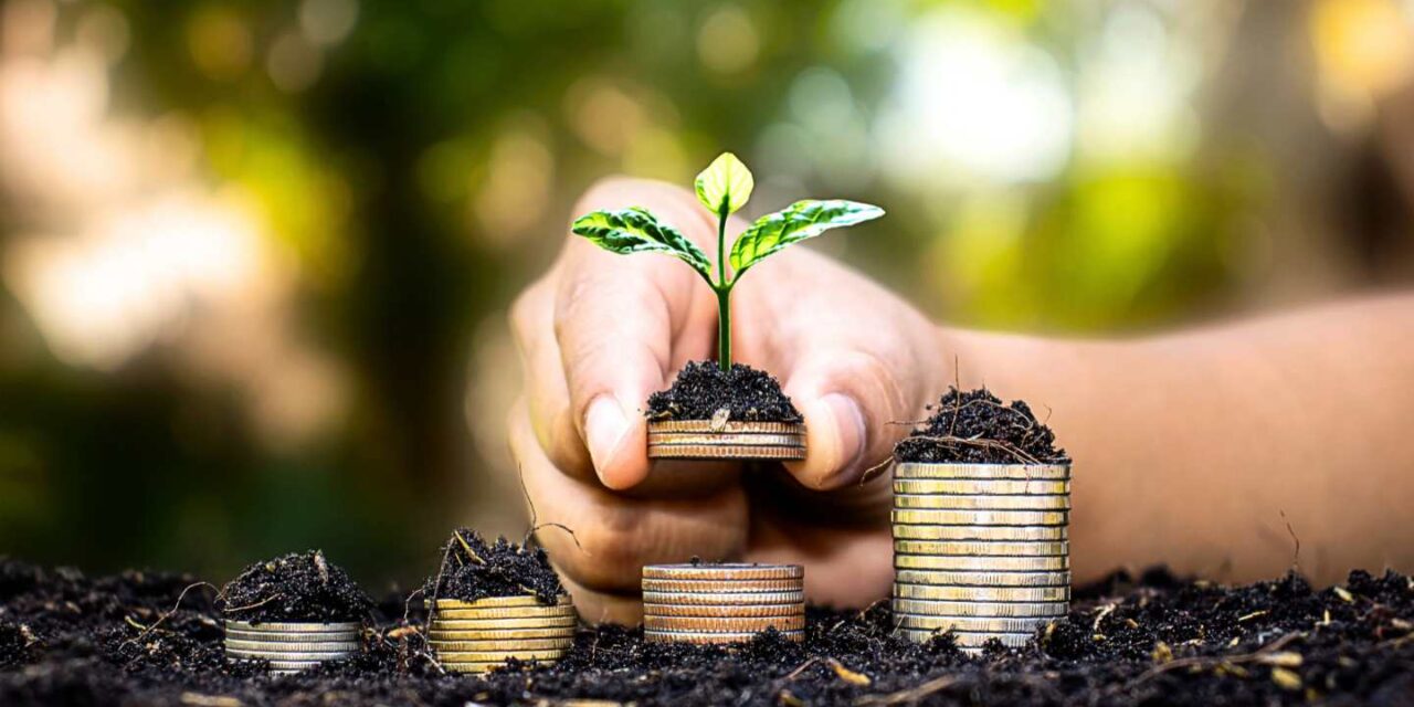 Libertad Financiera: una independencia que también se celebra