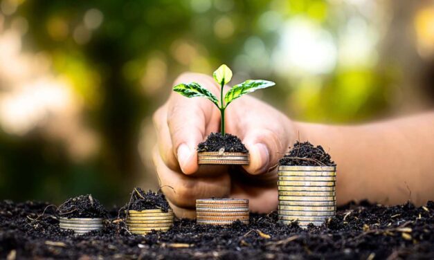 Libertad Financiera: una independencia que también se celebra