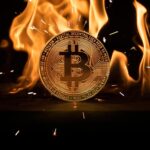 Bitcoin queda rezagado como refugio de los bancos centrales