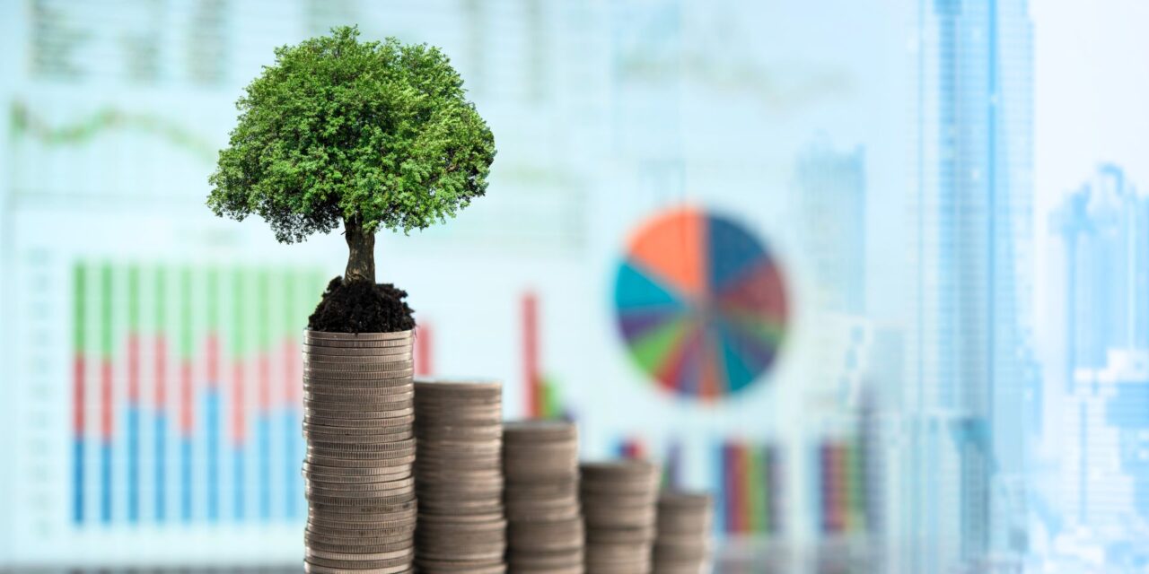 Citrus Patrimonial lanza inversiones en negocios agrícolas