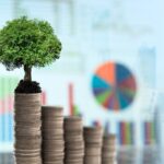 Citrus Patrimonial lanza inversiones en negocios agrícolas