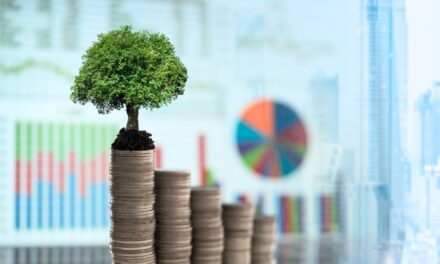 Citrus Patrimonial lanza inversiones en negocios agrícolas