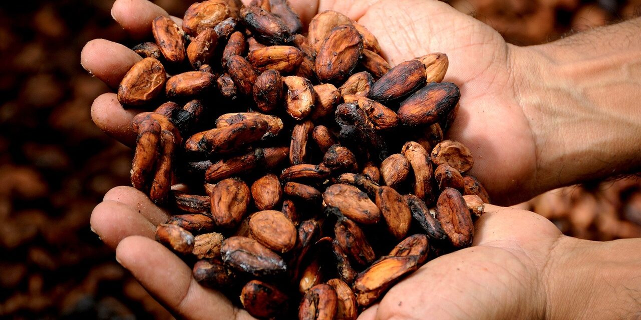 Cosechas en Costa de Marfil y Ghana desploman precios del cacao
