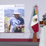 Sheinbaum celebra logros económicos y sociales