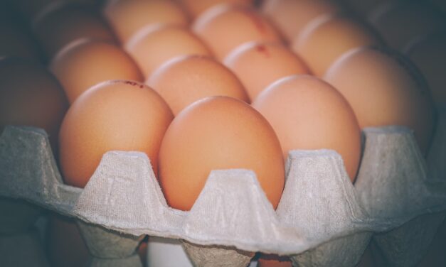 Huevo y pollo dan respiro al bolsillo en diciembre