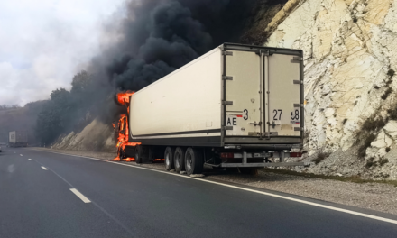 Aseguradoras activan protocolos de atención por acontecimientos en Jalisco