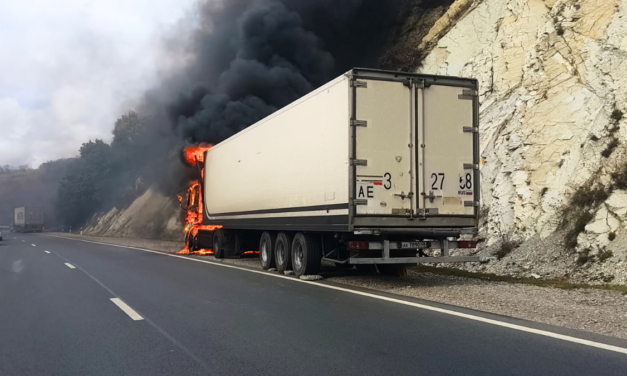 Aseguradoras activan protocolos de atención por acontecimientos en Jalisco