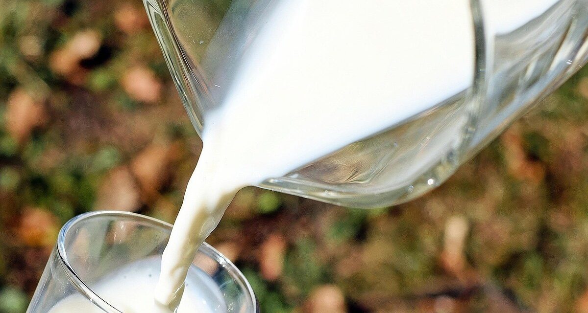 Leche para el Bienestar blinda al campo