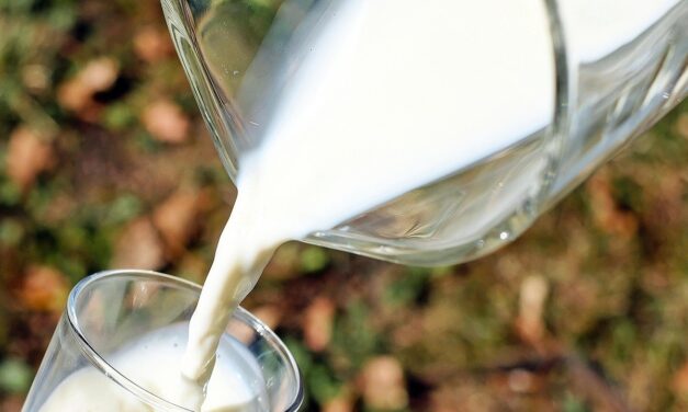 Leche para el Bienestar blinda al campo