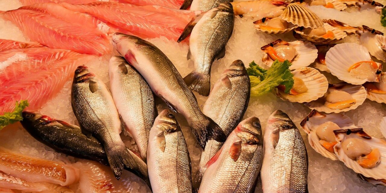 Pescado sierra, aliado de la economía en esta Cuaresma