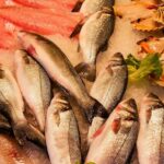 Pescado sierra, aliado de la economía en esta Cuaresma