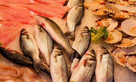 Pescado sierra, aliado de la economía en esta Cuaresma