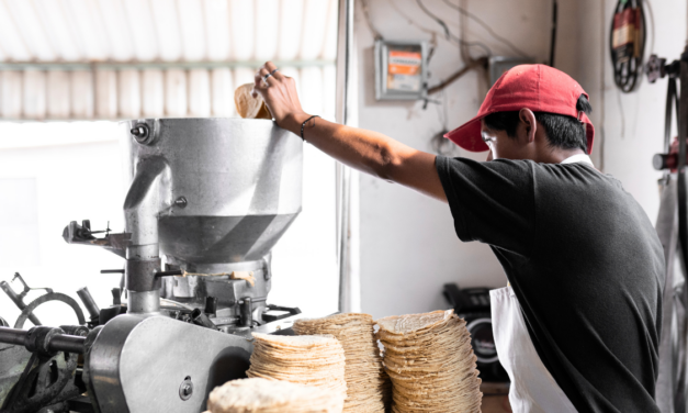 “Desastroso” un aumento al precio de la tortilla: Banamex