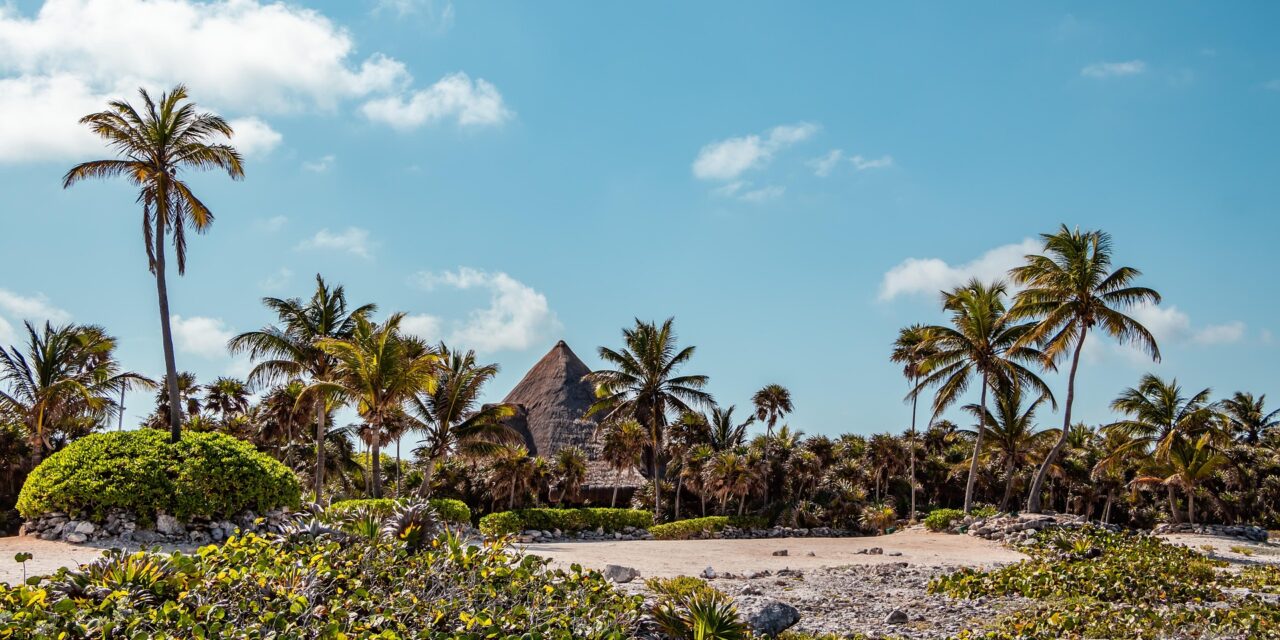 Fondo de riesgo invertirá en granja solar en Quintana Roo