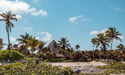 Fondo de riesgo invertirá en granja solar en Quintana Roo