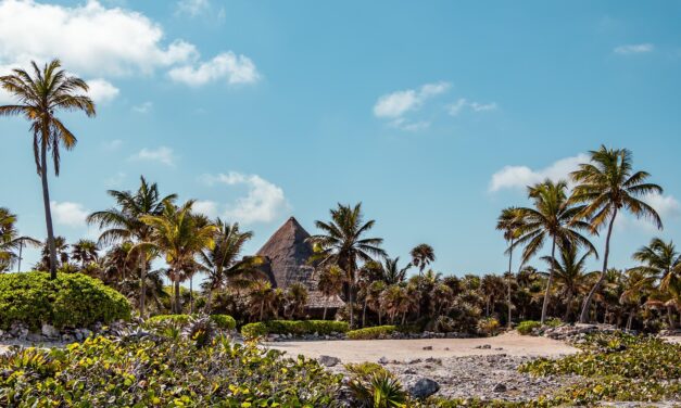 Fondo de riesgo invertirá en granja solar en Quintana Roo