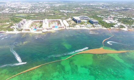 Invertirán 2 mil millones de pesos para combatir sargazo en playas del Caribe Mexicano