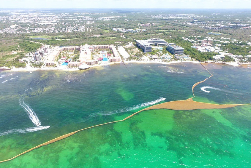 Invertirán 2 mil millones de pesos para combatir sargazo en playas del Caribe Mexicano