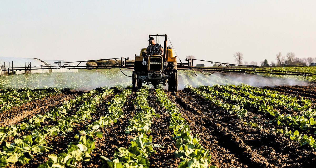 Cosmocel invertirá 411 mdp en planta de agroquímicos en Nuevo León