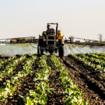 Cosmocel invertirá 411 mdp en planta de agroquímicos en Nuevo León