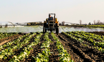 Cosmocel invertirá 411 mdp en planta de agroquímicos en Nuevo León