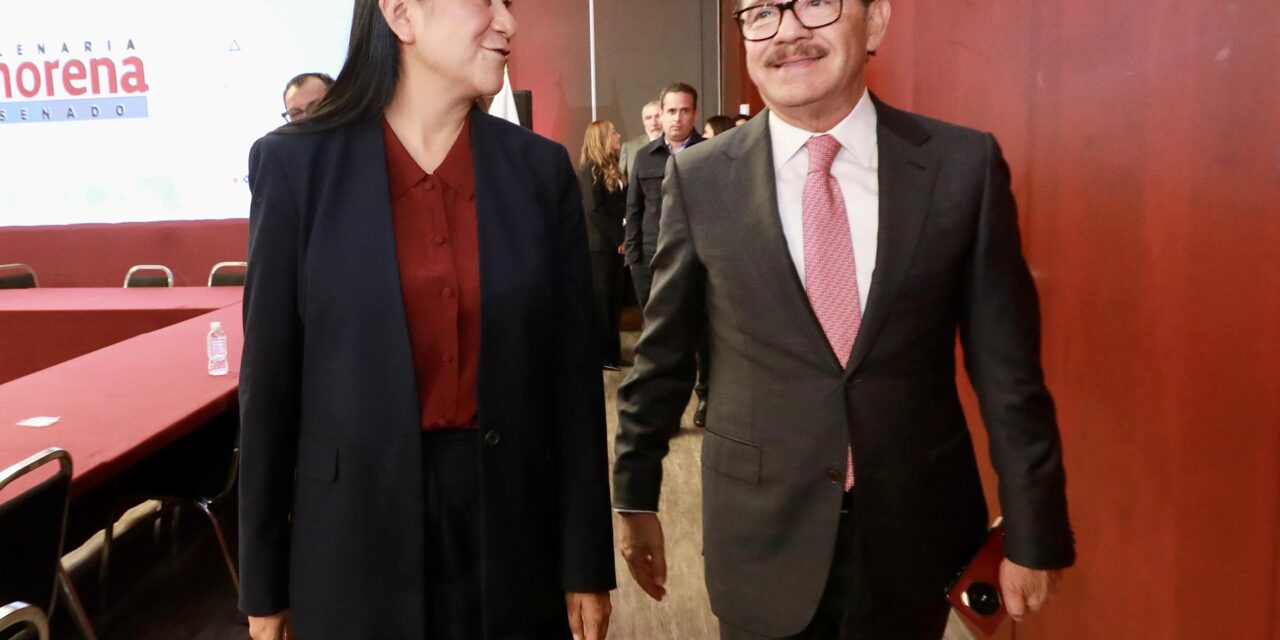 Celebra el senador Ignacio Mier 15 Aniversario de Morena
